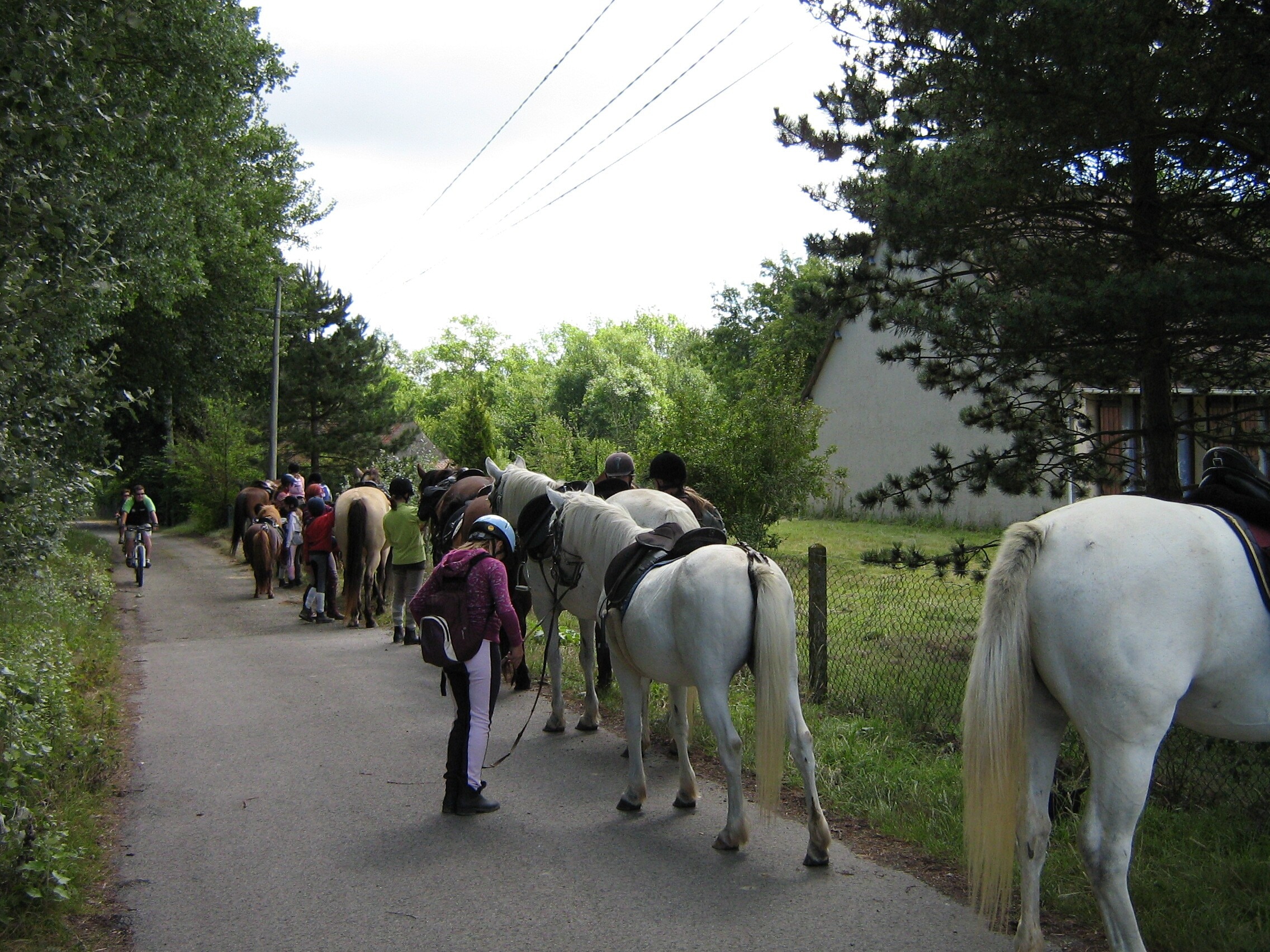 Camping Le Champ Neuf