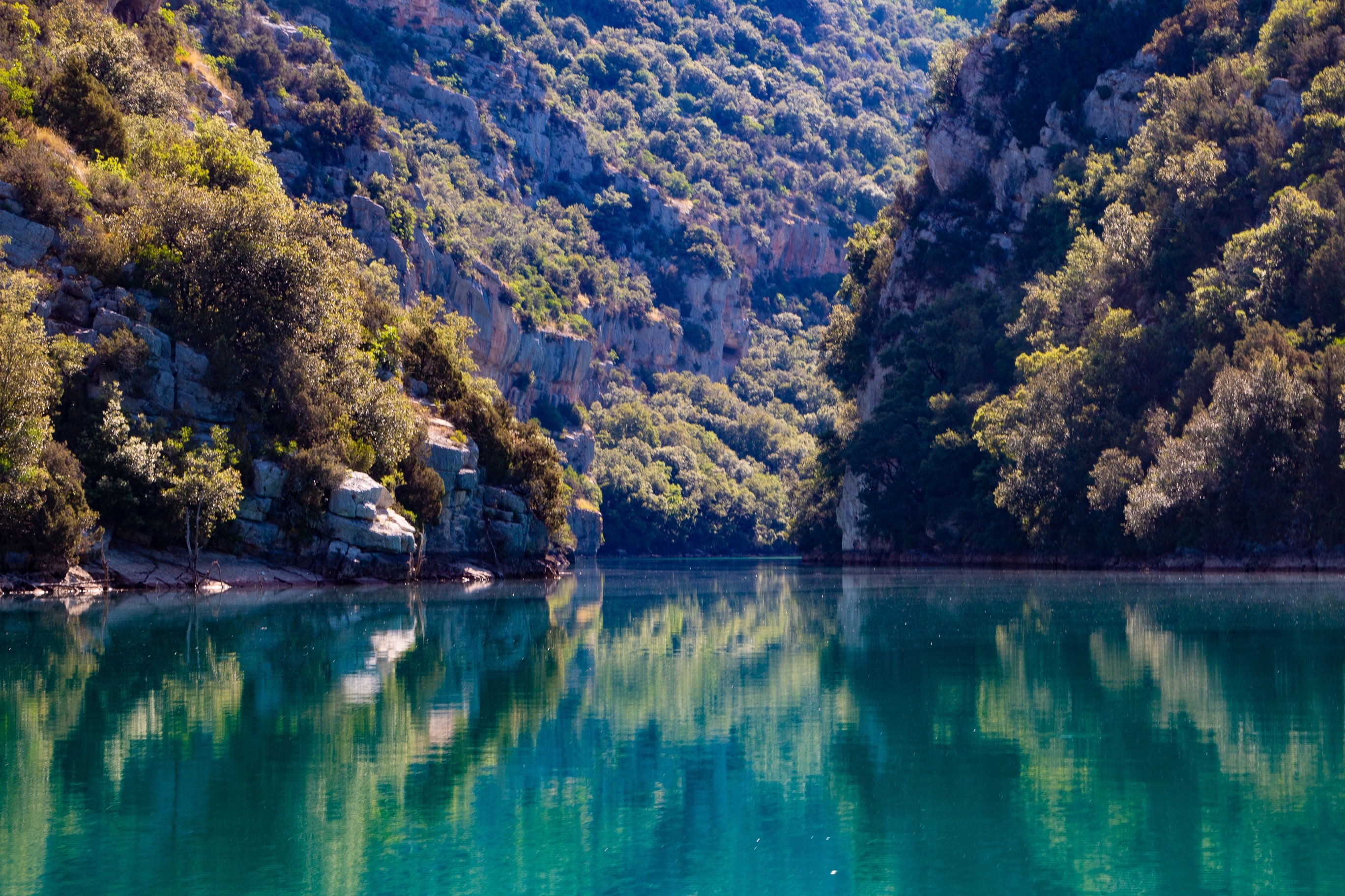 Flower Camping La Beaume