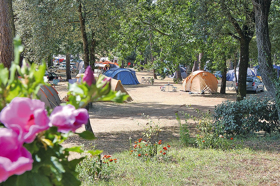 Camping La Palombière