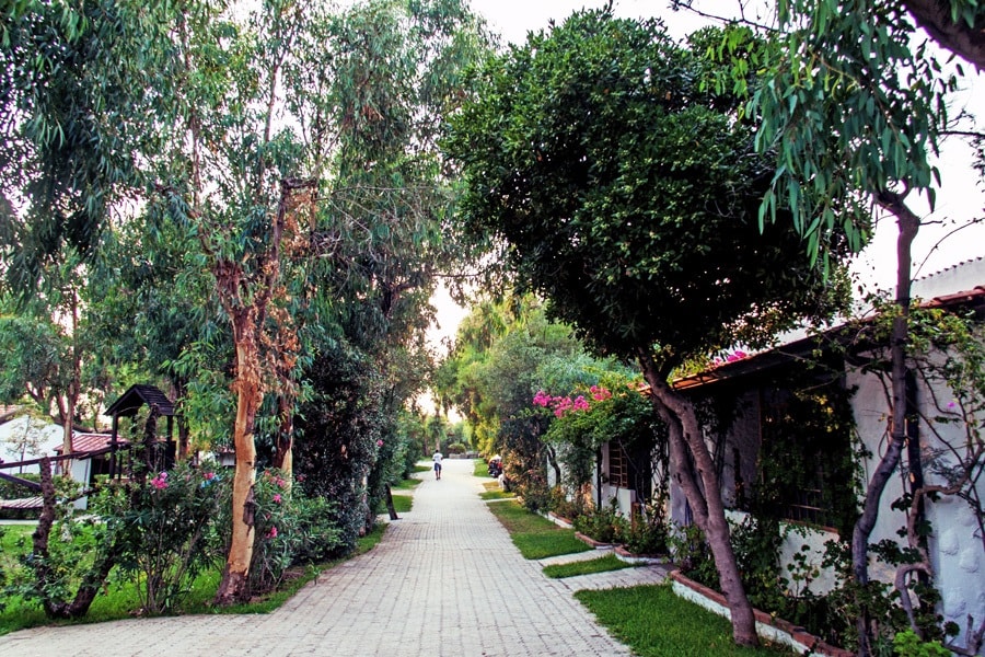 Villaggio Camping Mimosa