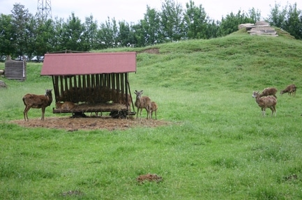 Freizeit- und Campingpark Thräna