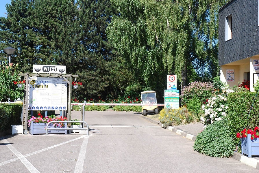 Flower Camping Dieppe Vitamín