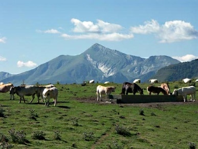 Camping du Pont d'Abense