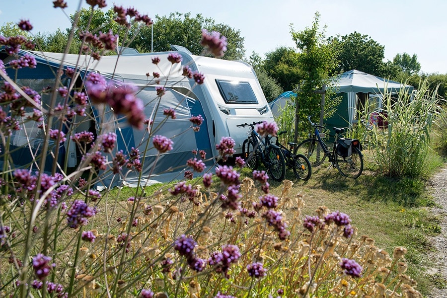 Flower Camping Le Petit Paris