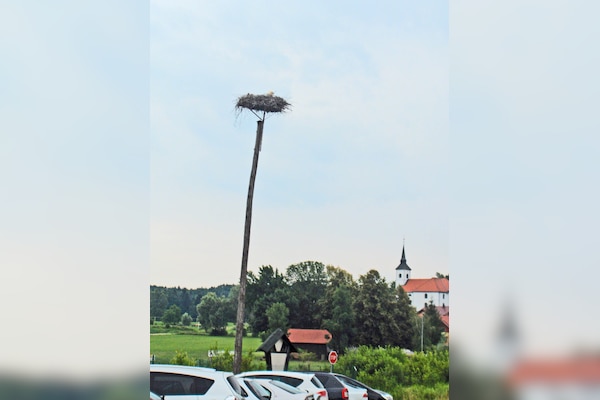 Camping Bela krajina - river Kolpa