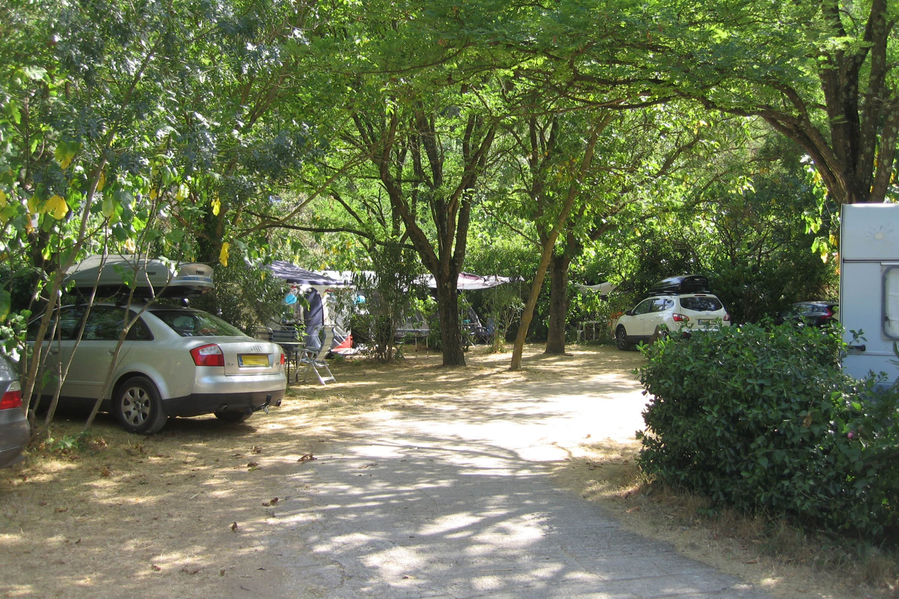 Flower Camping Les Tomasses