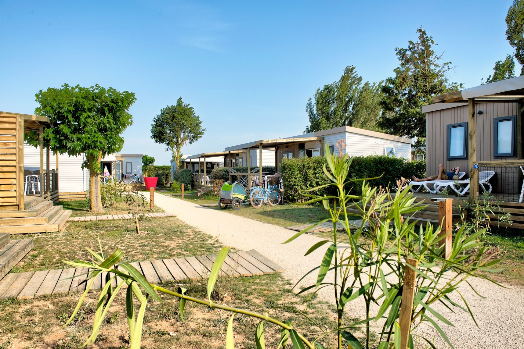 Flower Camping Les Ilates