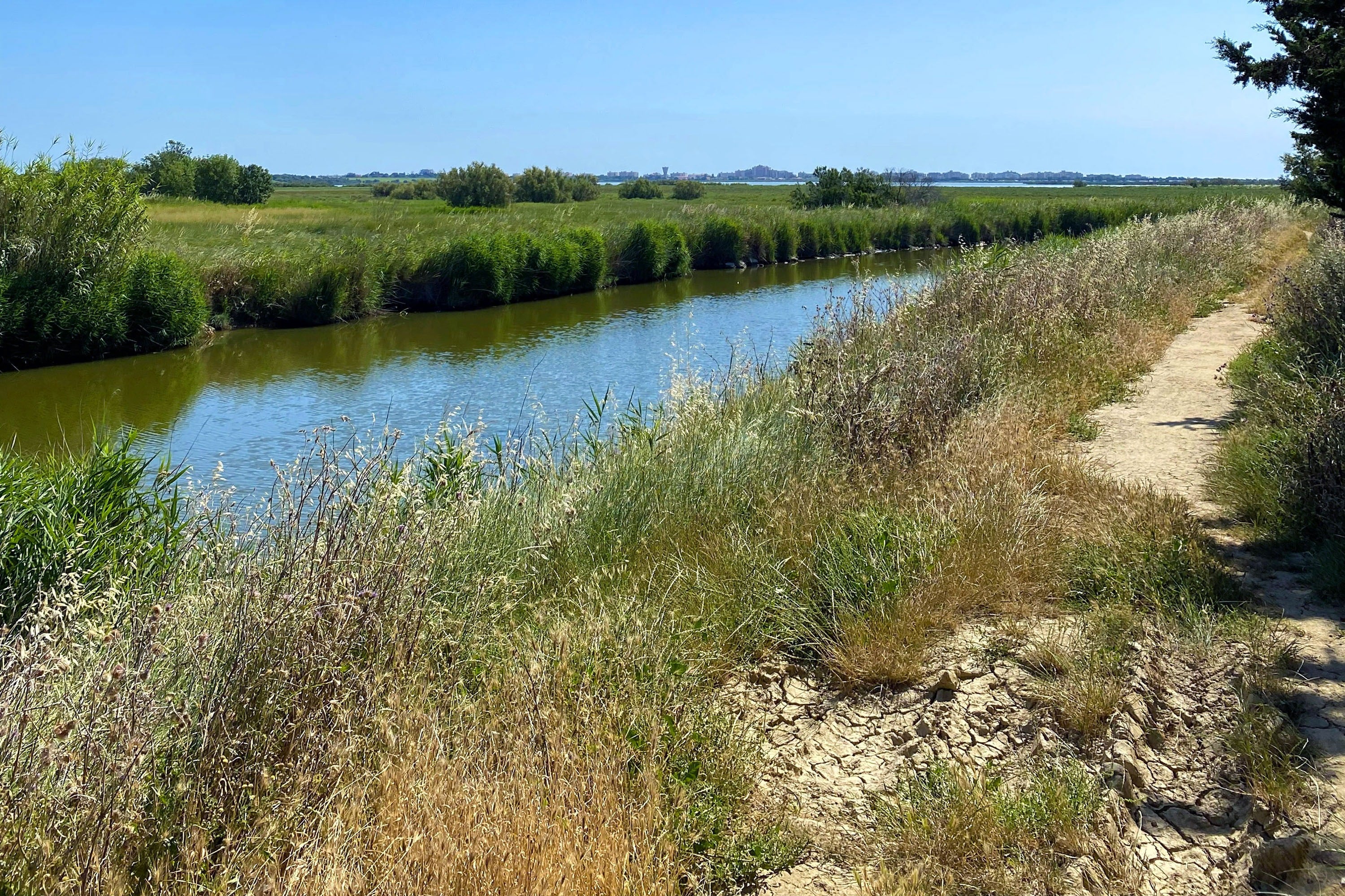 Camping Les Flamants Roses