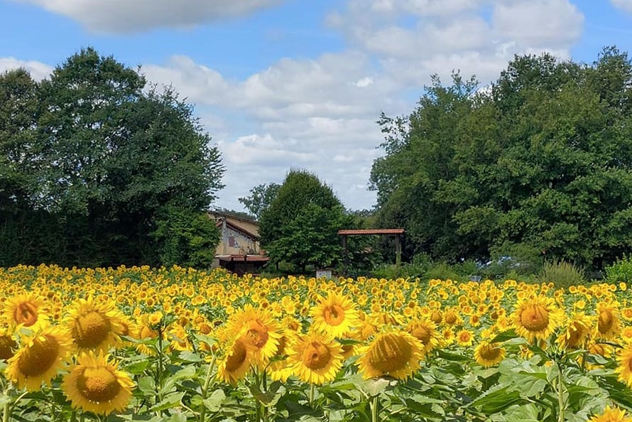 Camping & Gîtes "En Campagne"