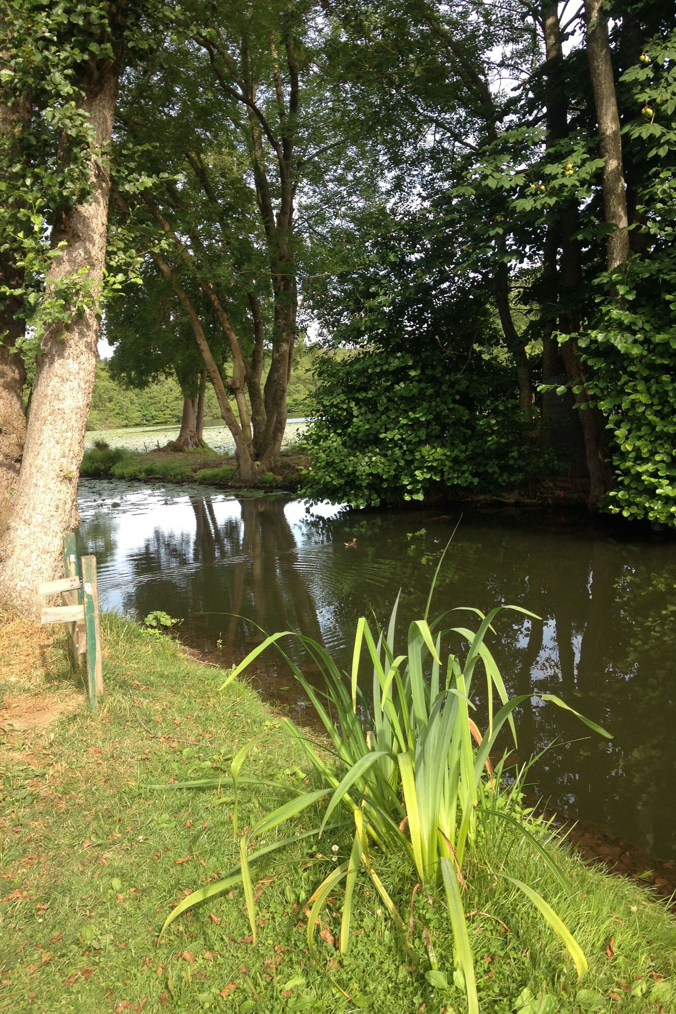 Camping Les Berges de l'Iton