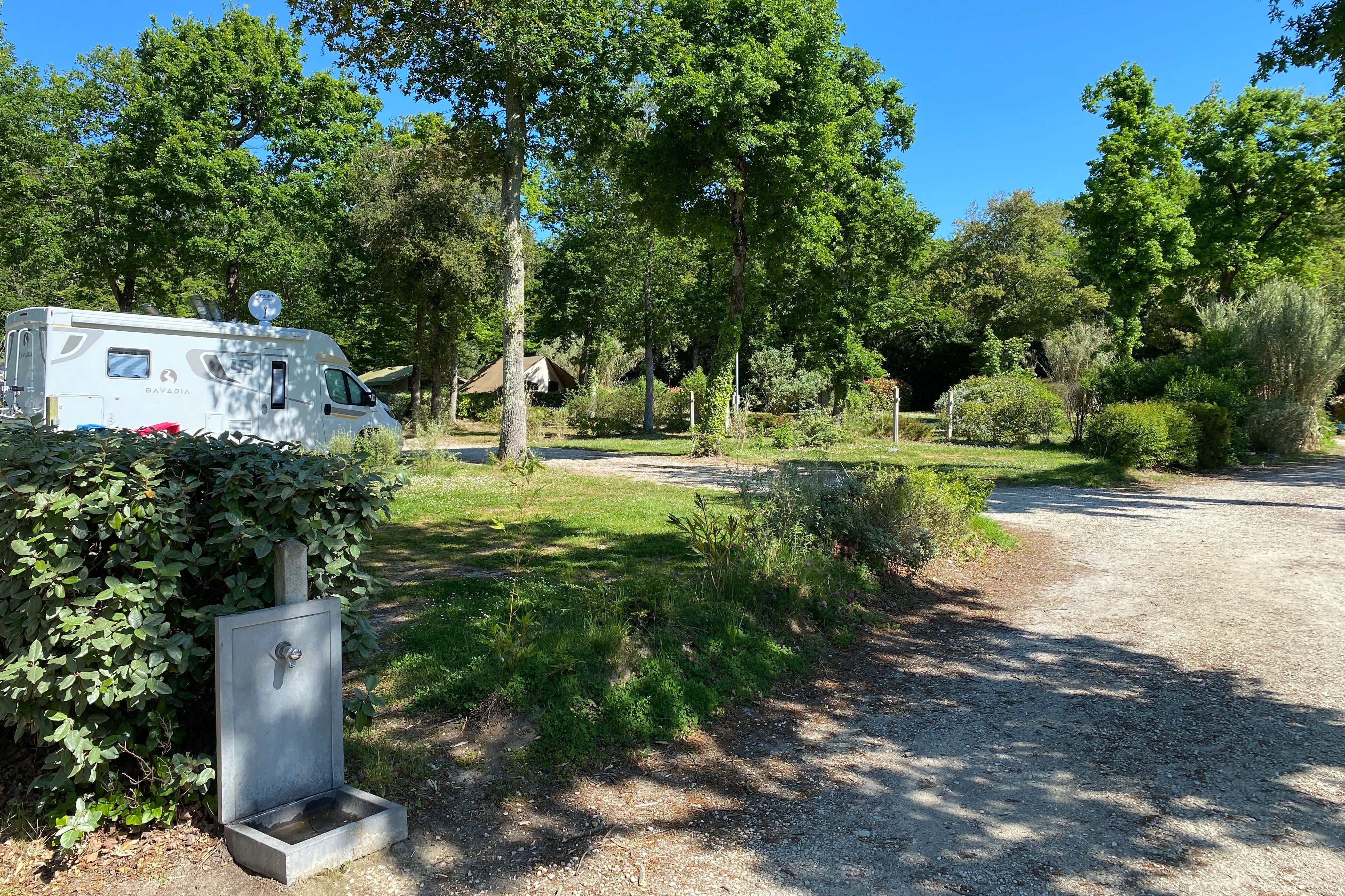Camping Paradis La Cailletière