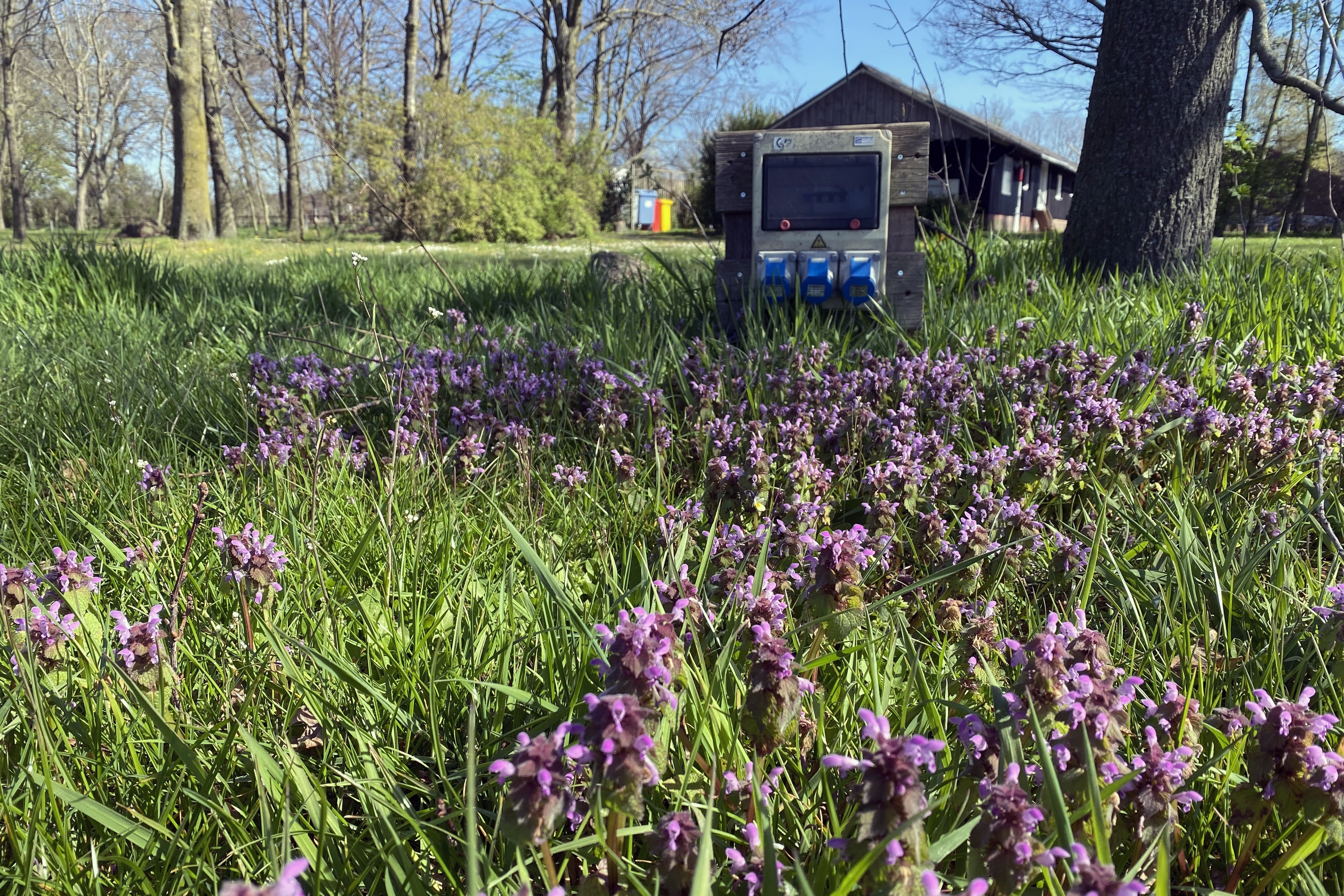 Camping Groot Antink