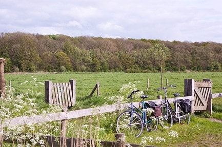 Minicamping Pitteperk