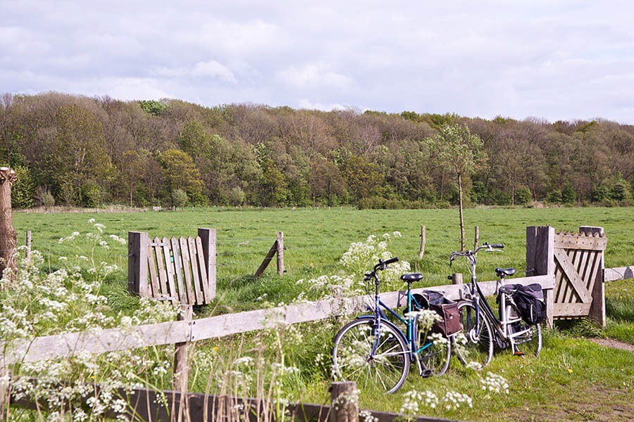 Minicamping Pitteperk