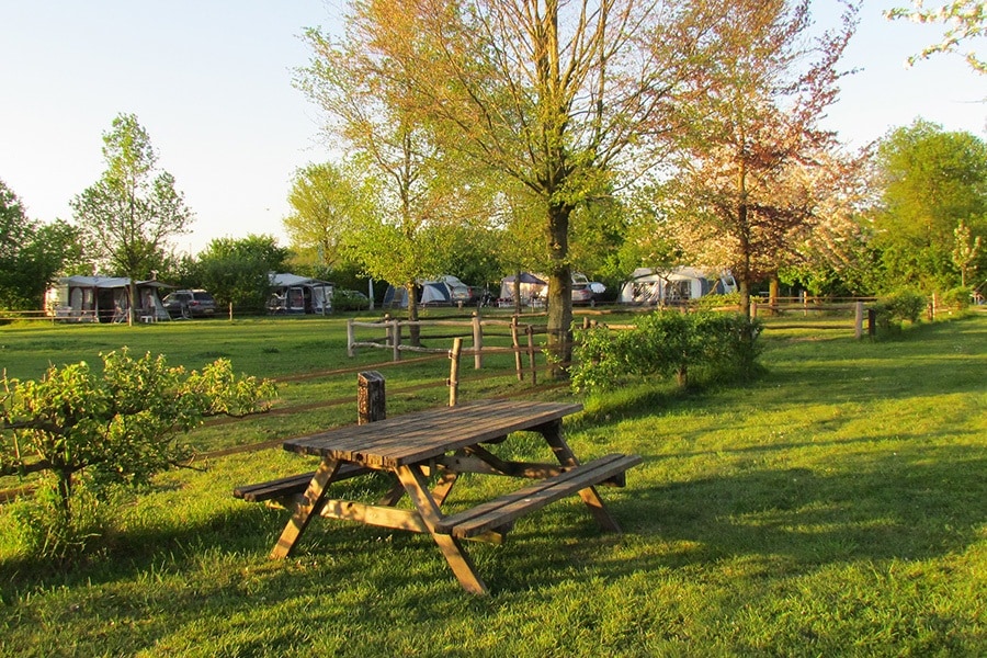 Camping De Ganzenhof