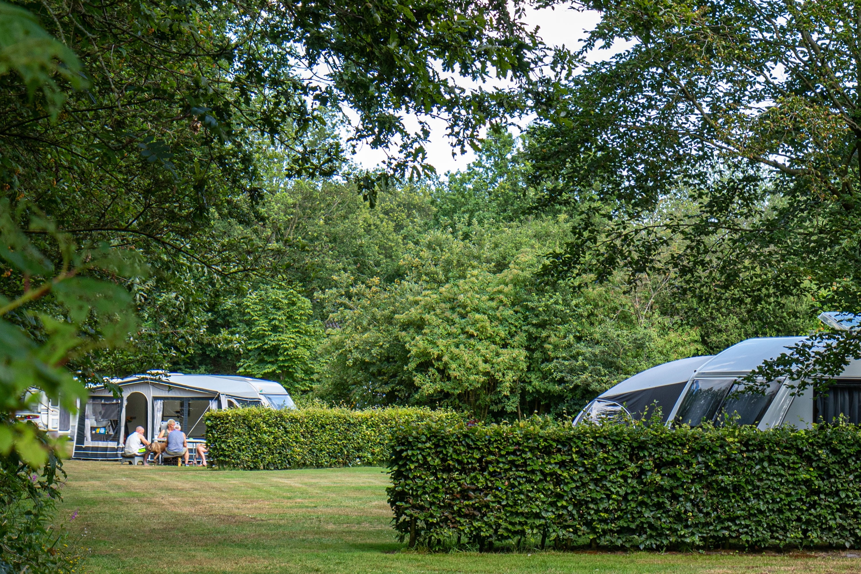 Camping Roeloomskamp