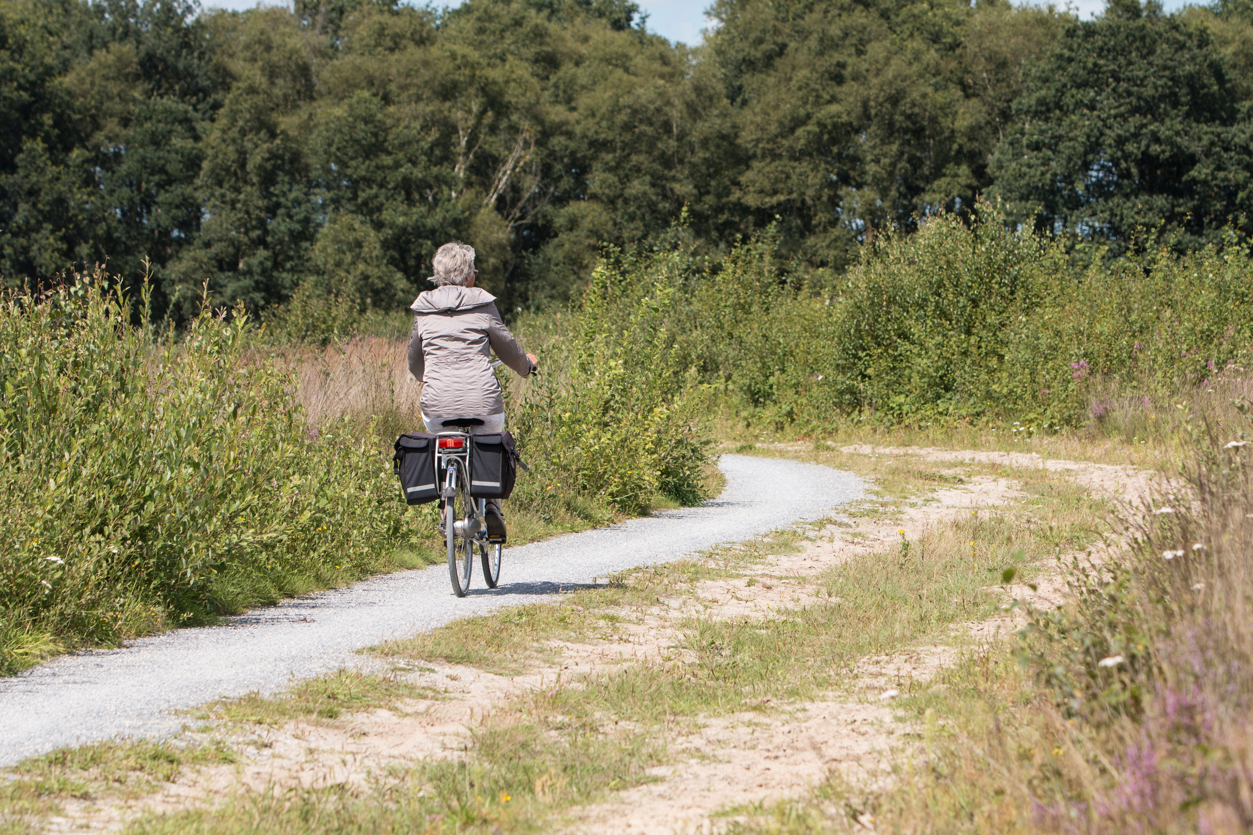 Camping Roeloomskamp