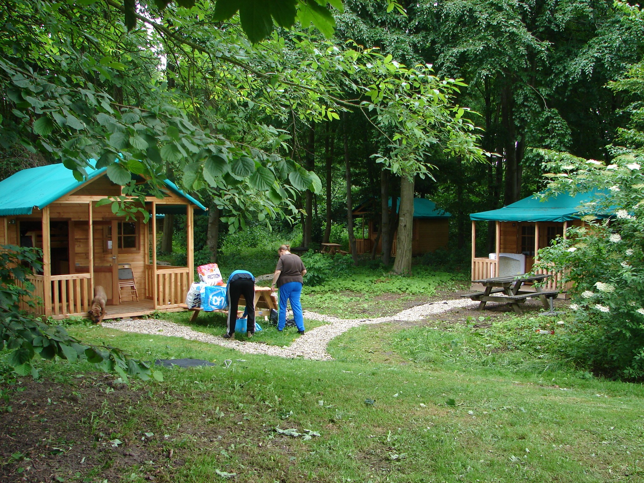 Natuurcamping De Kemphaan