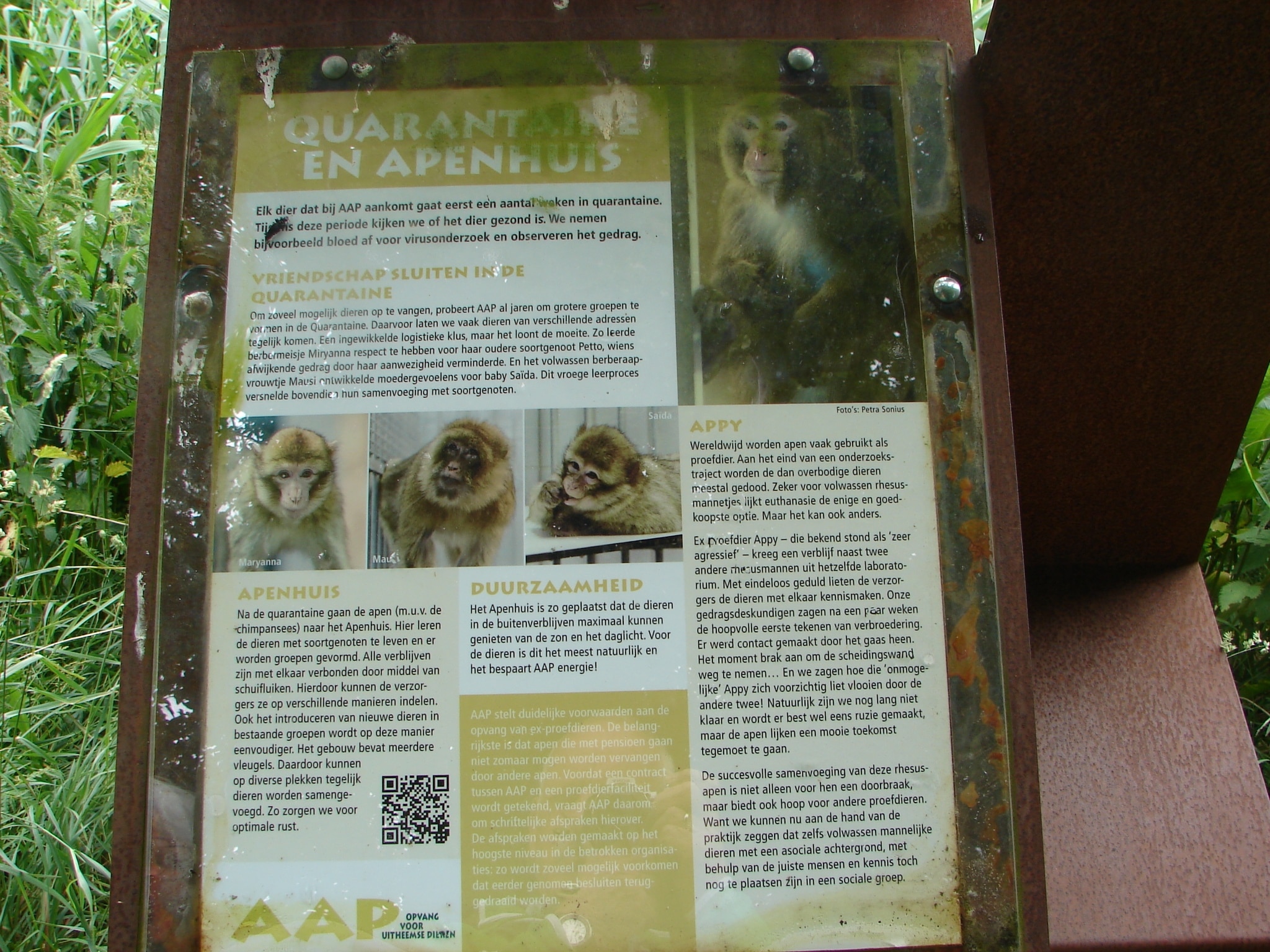 Natuurcamping De Kemphaan
