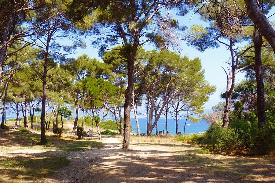 Camping Olbia