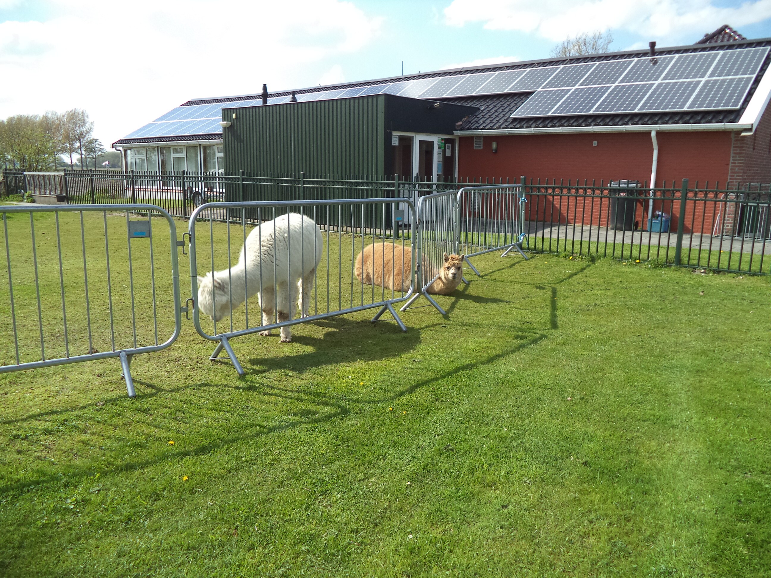 Camping & Jachthaven Aduarderzijl