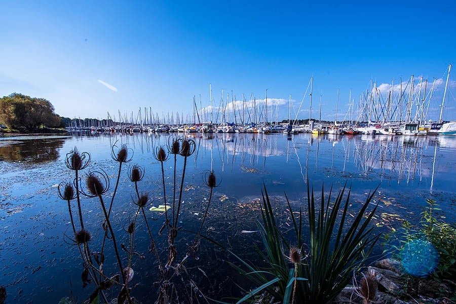 Camping Les Rives de Vilaine