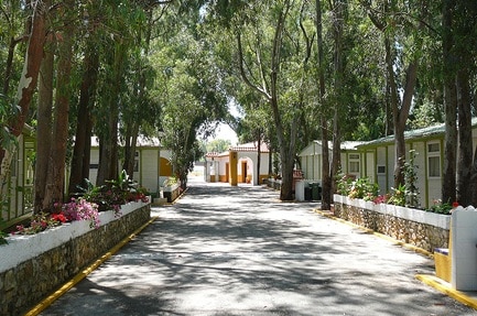 Camping Los Eucaliptos