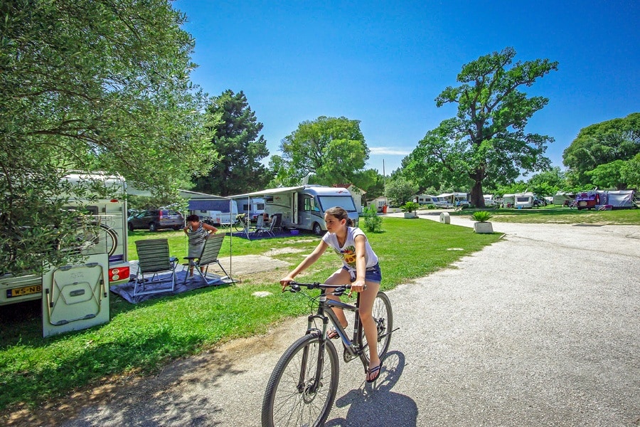 Camping Viter