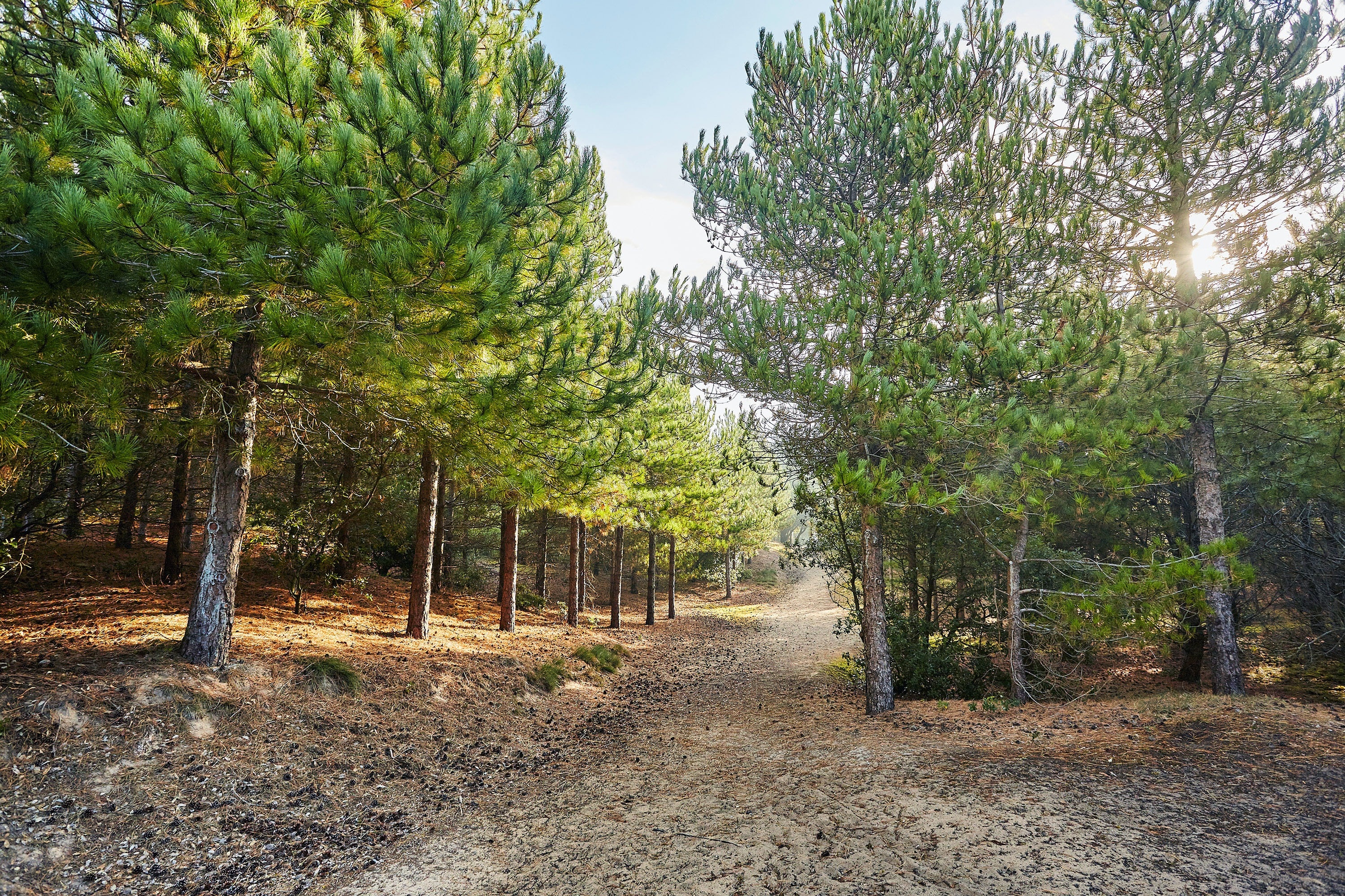 Camping La Prairie