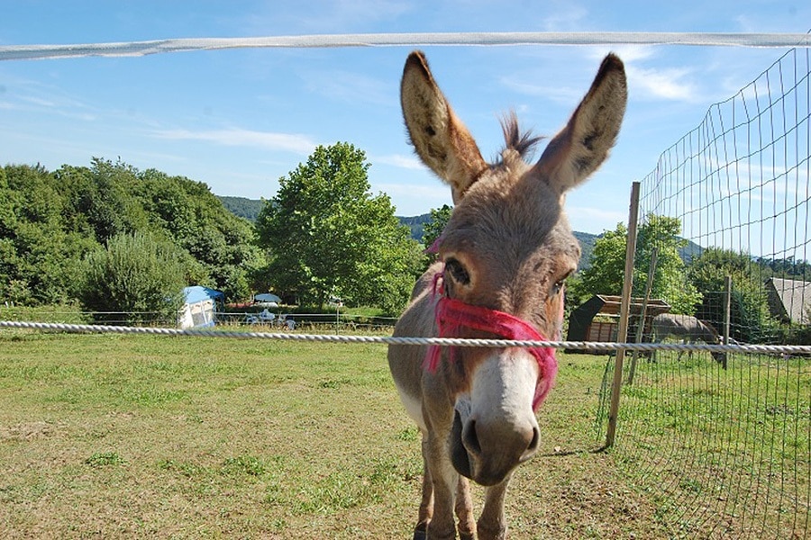 Camping La Forêt du Morvan