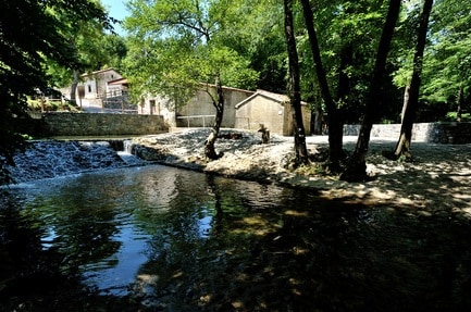 Kamp Dujceva Domacija