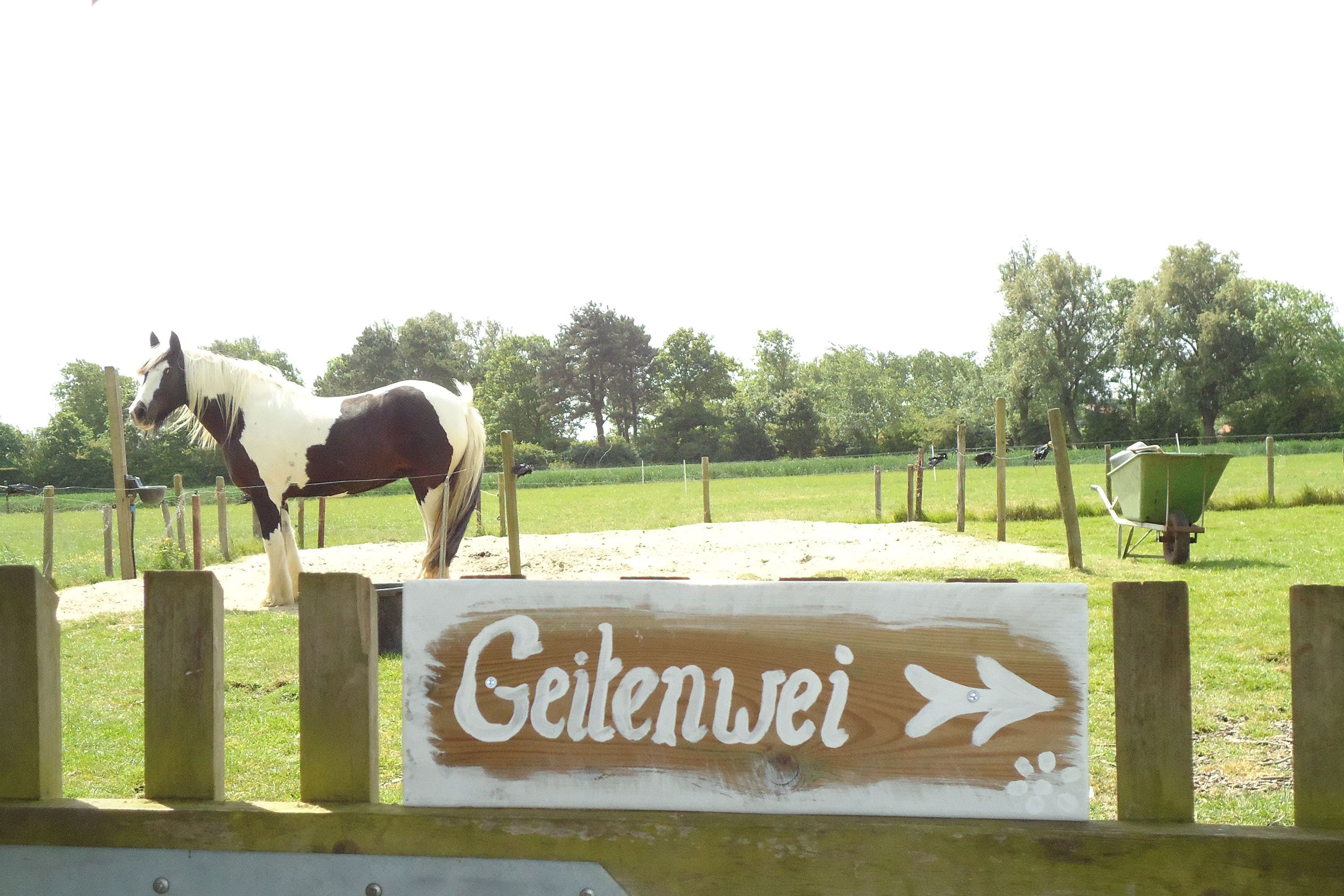 Minicamping Dorpszicht