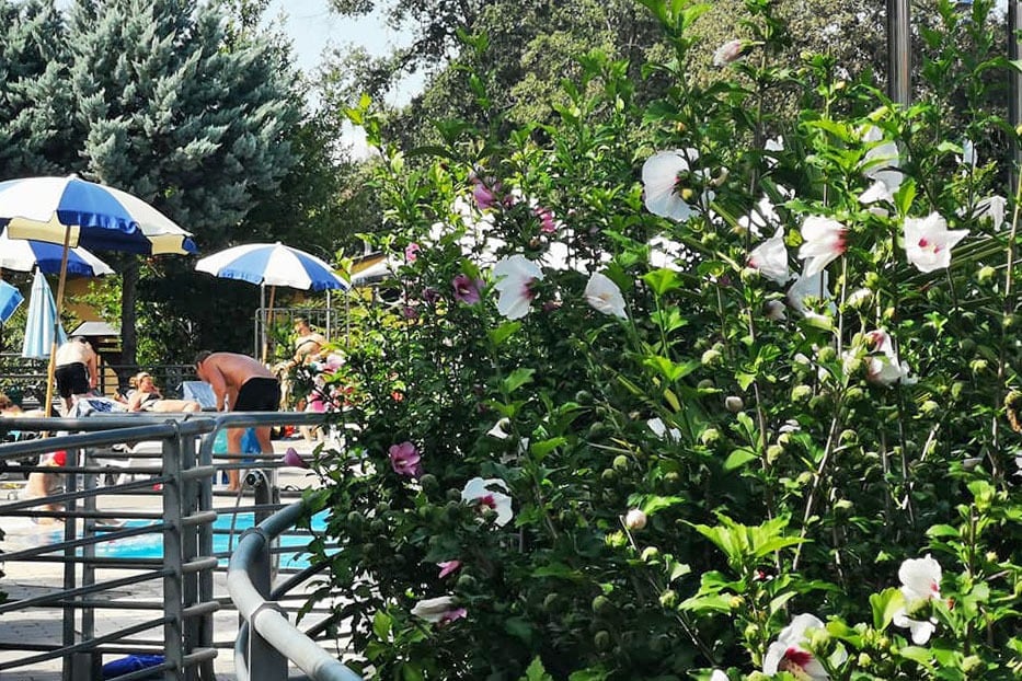 Camping Paradiso