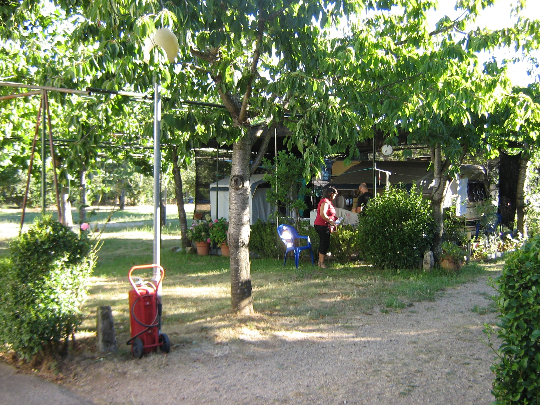 Vega de Francia
