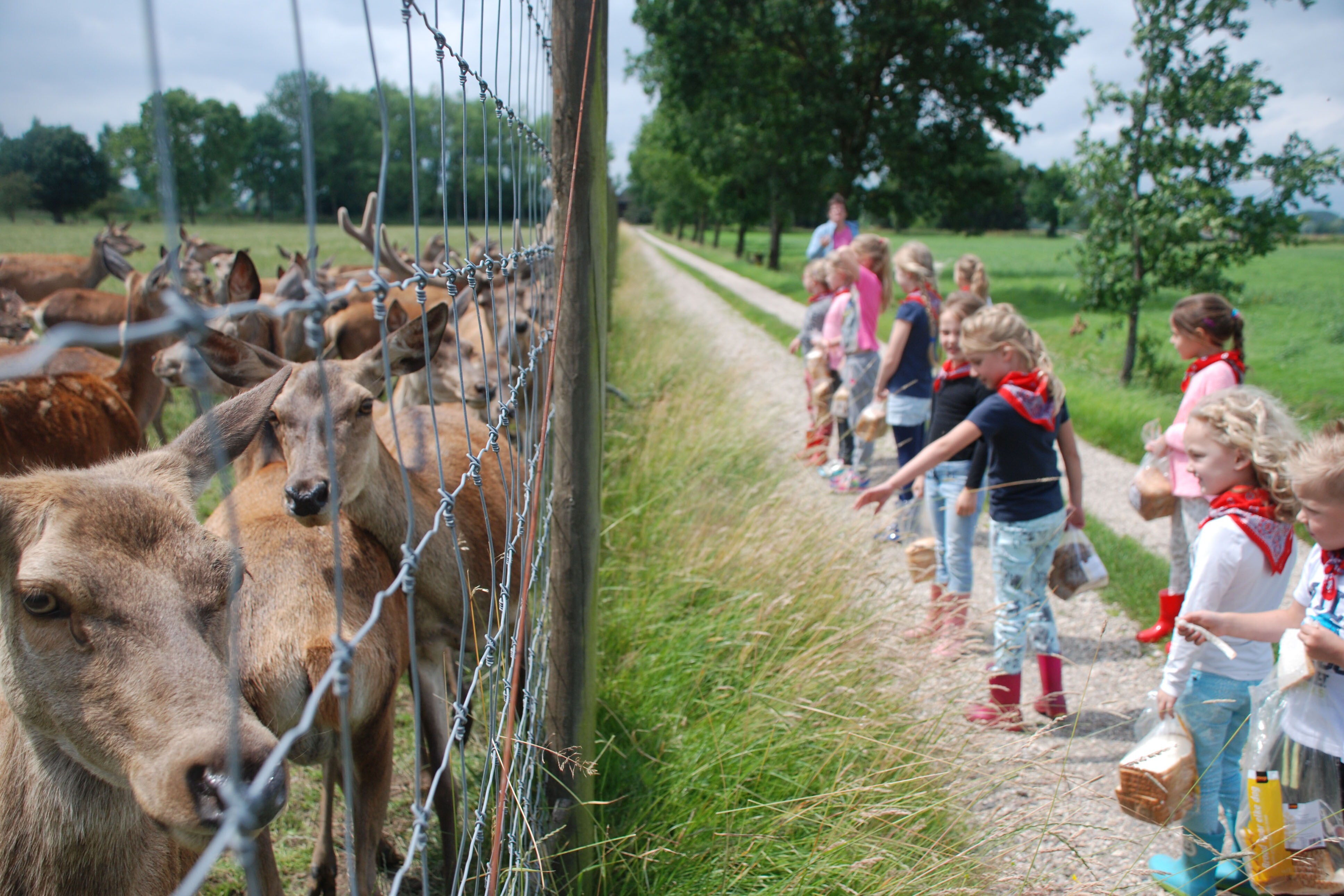 Recreatie- & Hertenboerderij De Weerd