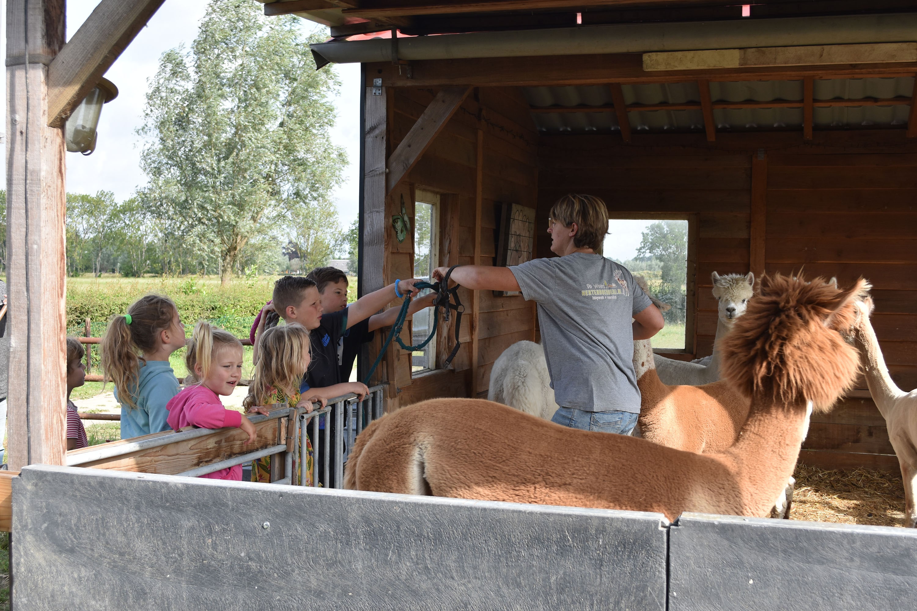 Recreatie- & Hertenboerderij De Weerd