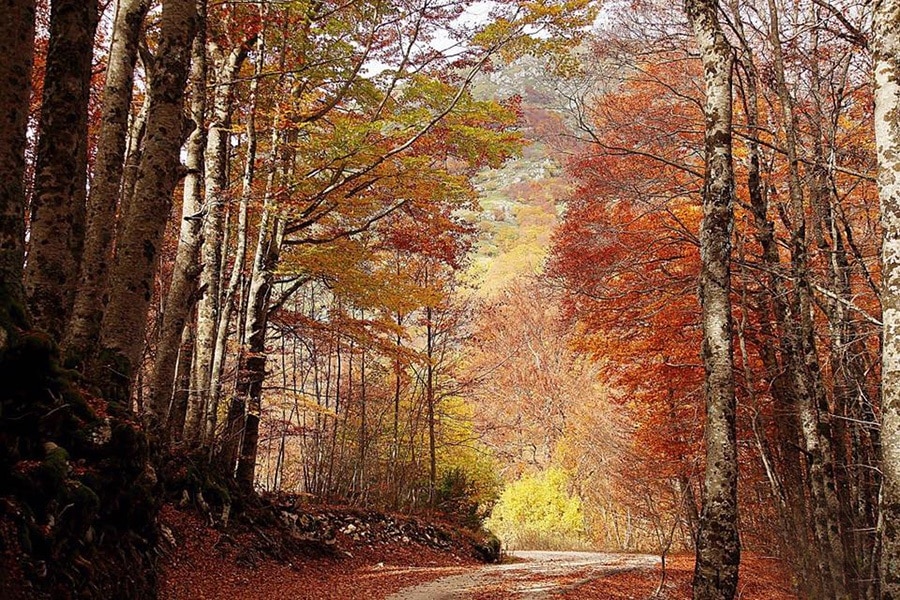 Camping Lo Schioppo