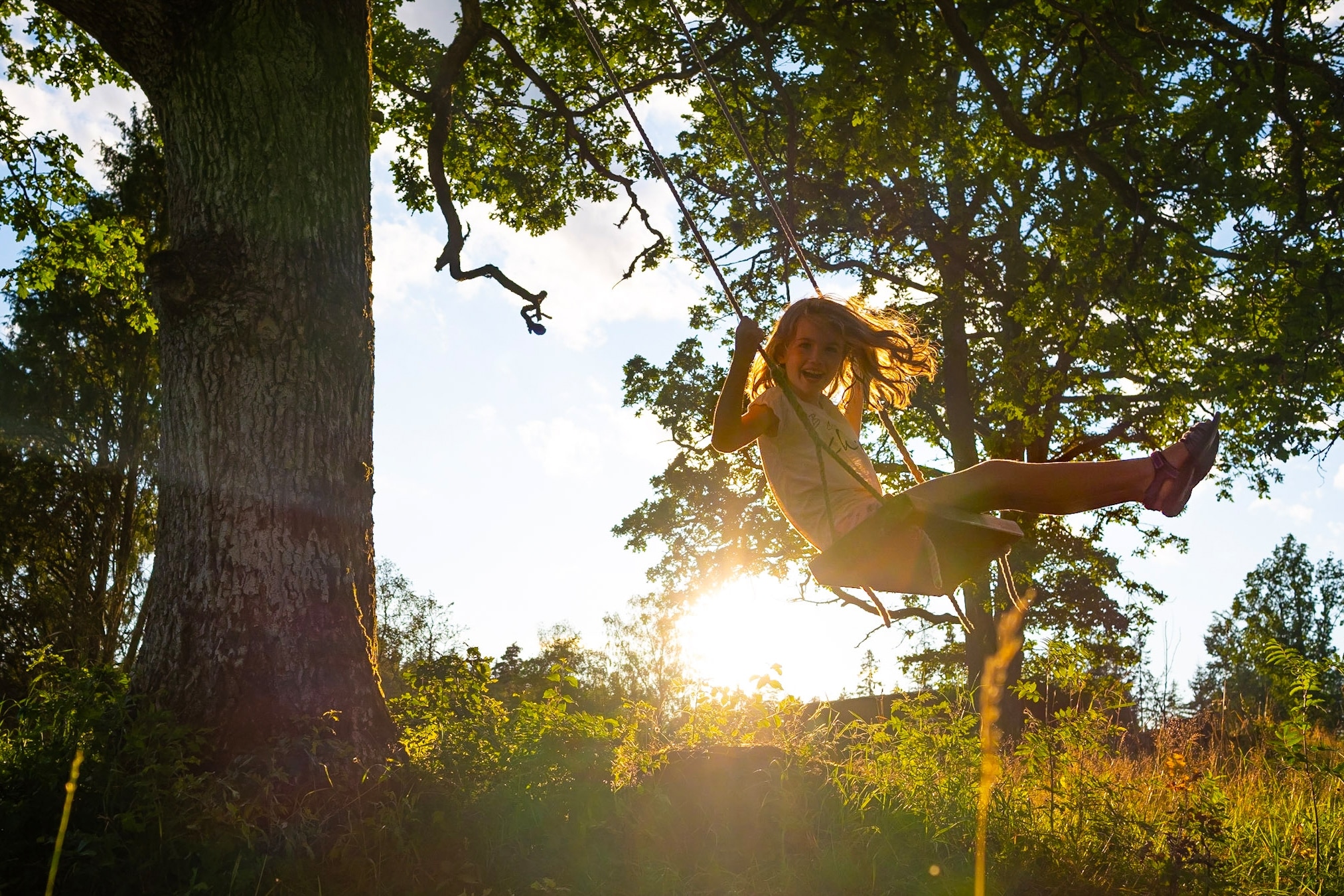 Camping Björsbo Forest & Lake Hideaways