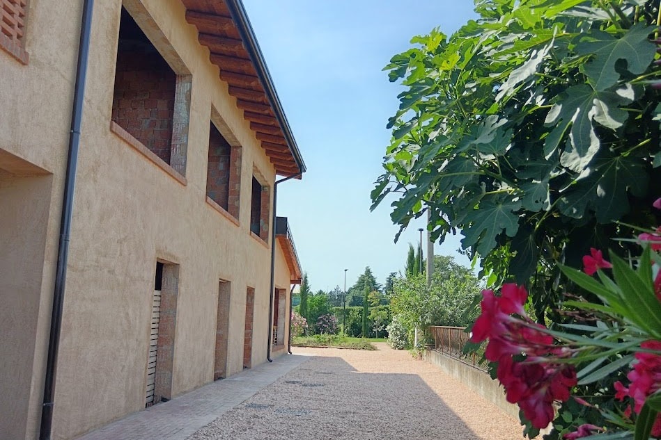 Agricampeggio Oro Verde