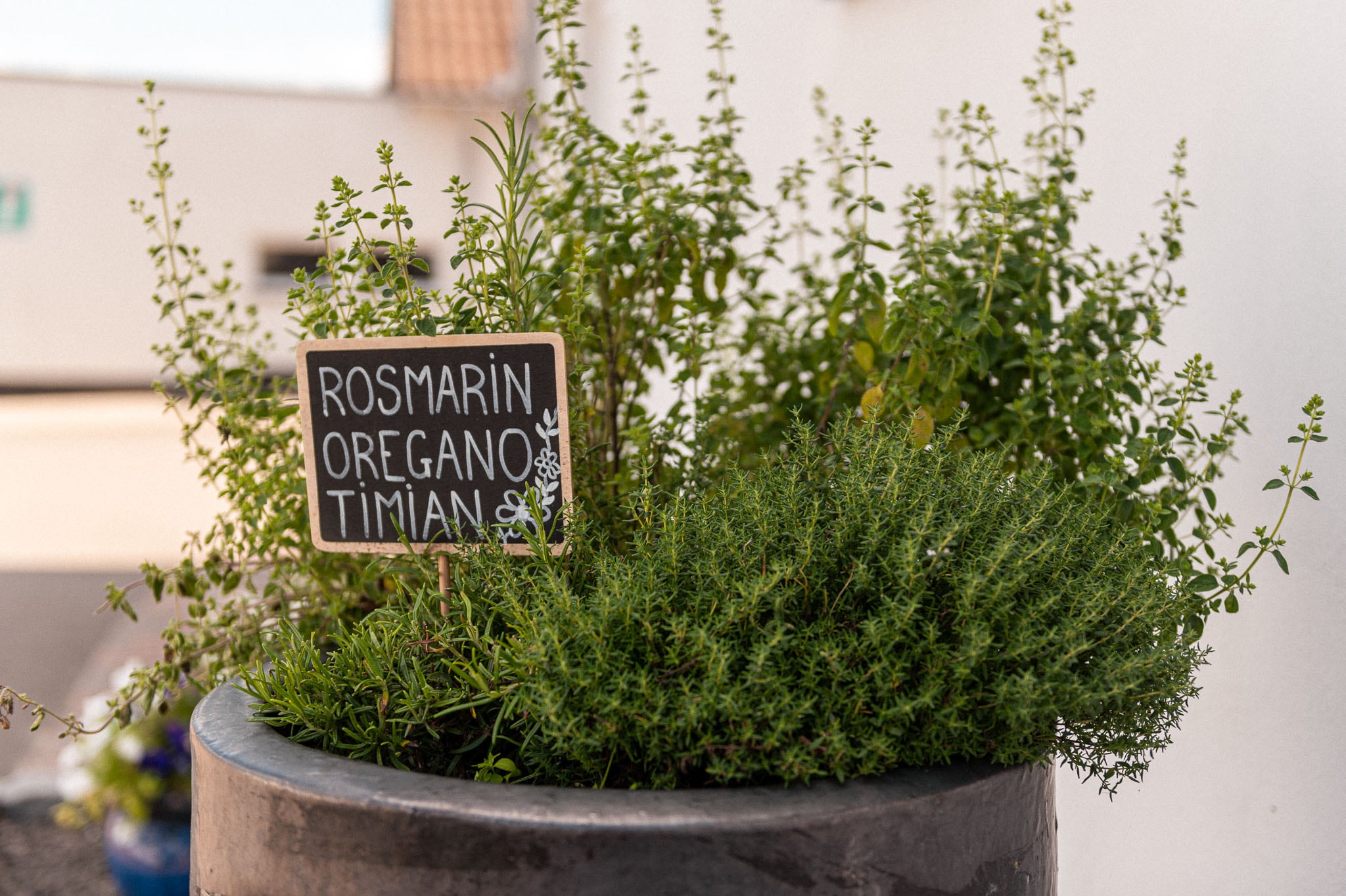 Grønninghoved Strand Camping