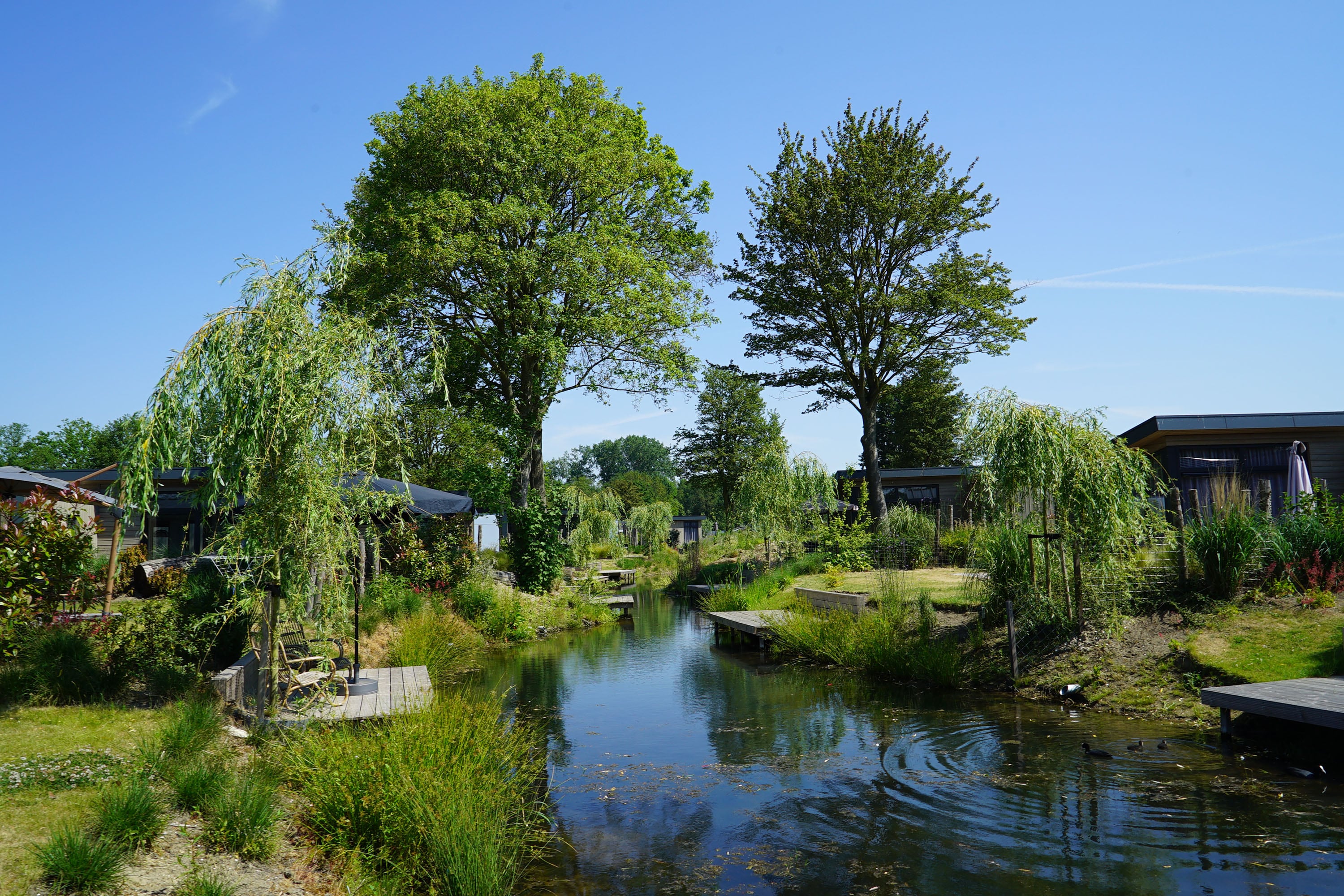 camping EuroParcs Zuiderzee