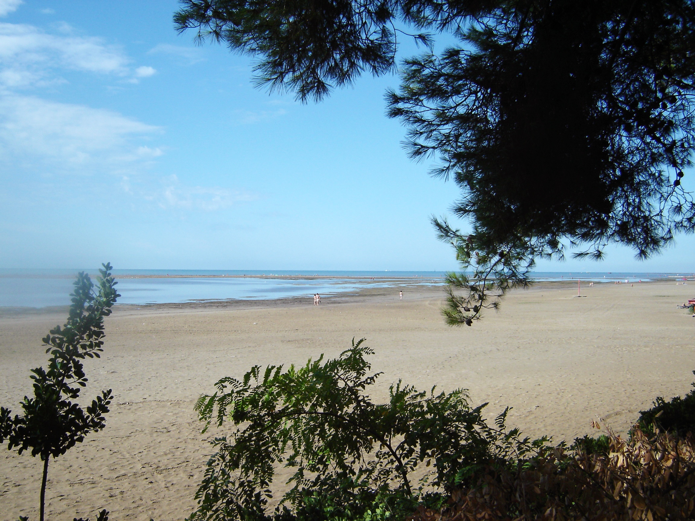 Camping Al Bosco