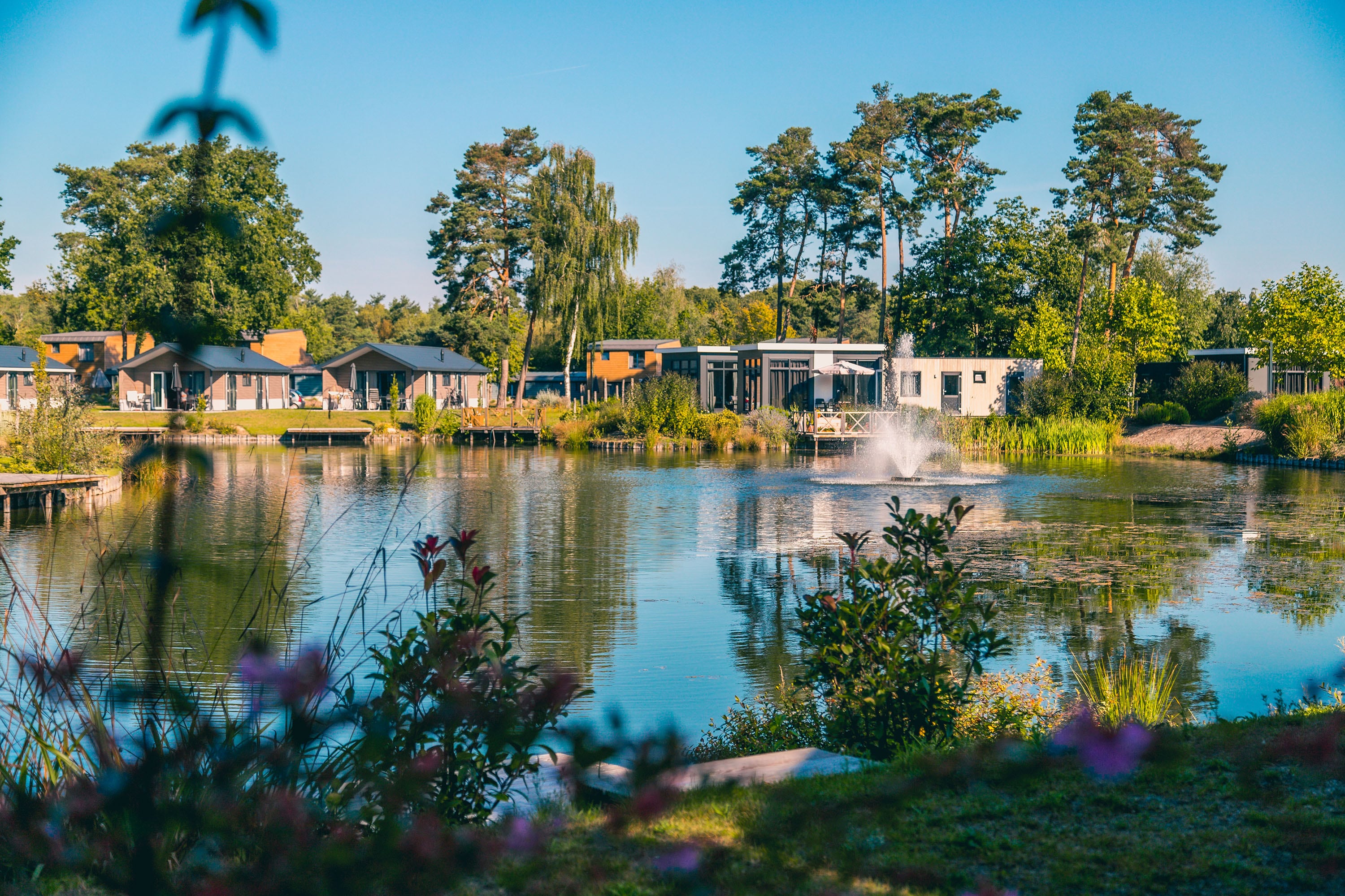 camping EuroParcs Zilverstrand