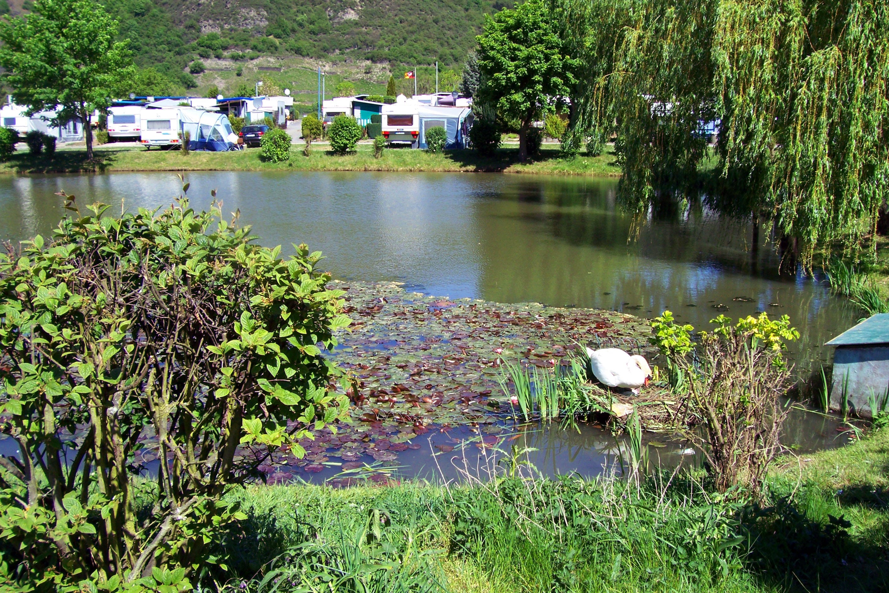 Camping Genienau Im Frankenkeller 49 53179 Bonn Camping Goldene Meile | ACSI