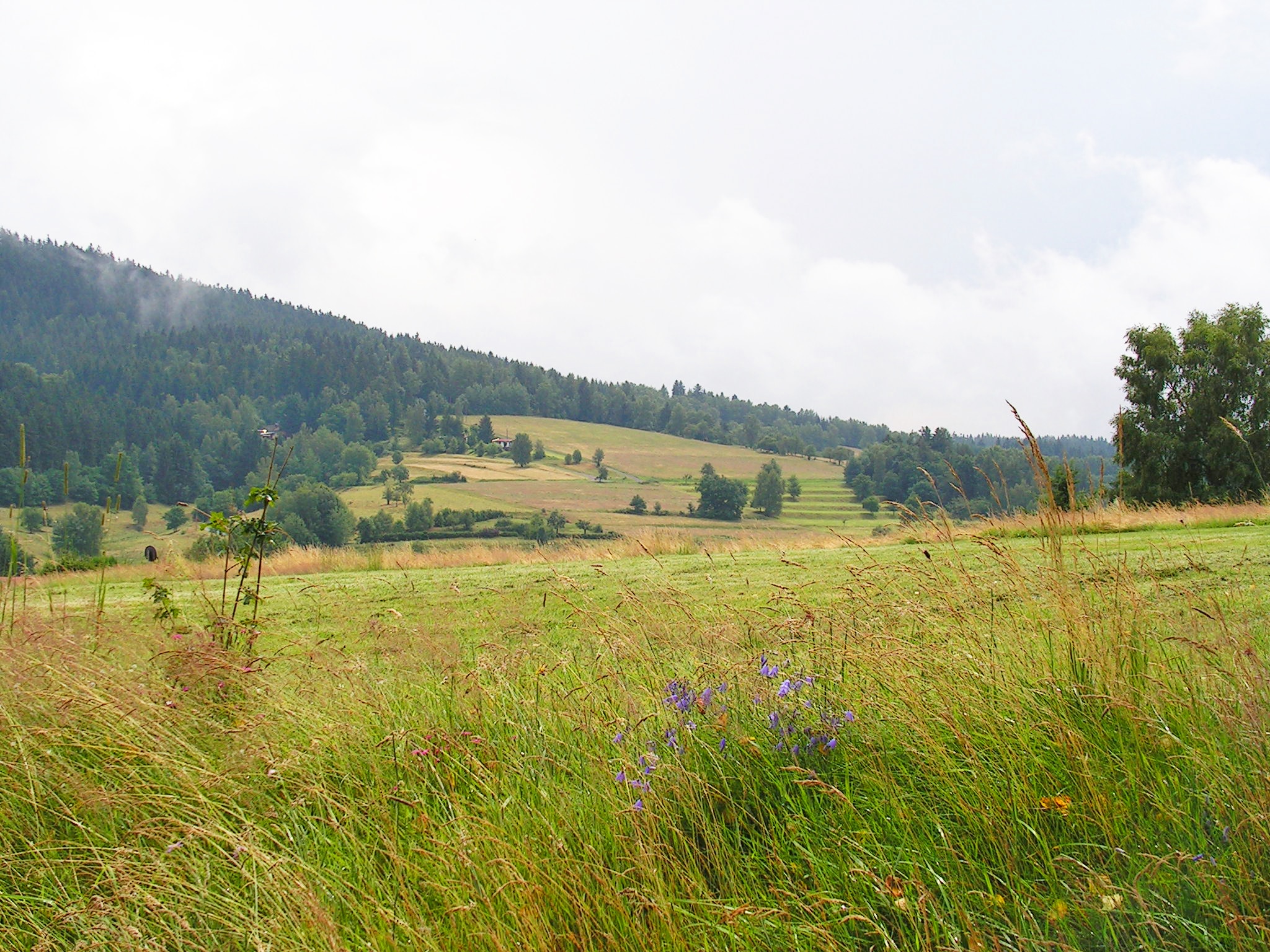 Camping Am Waldbad
