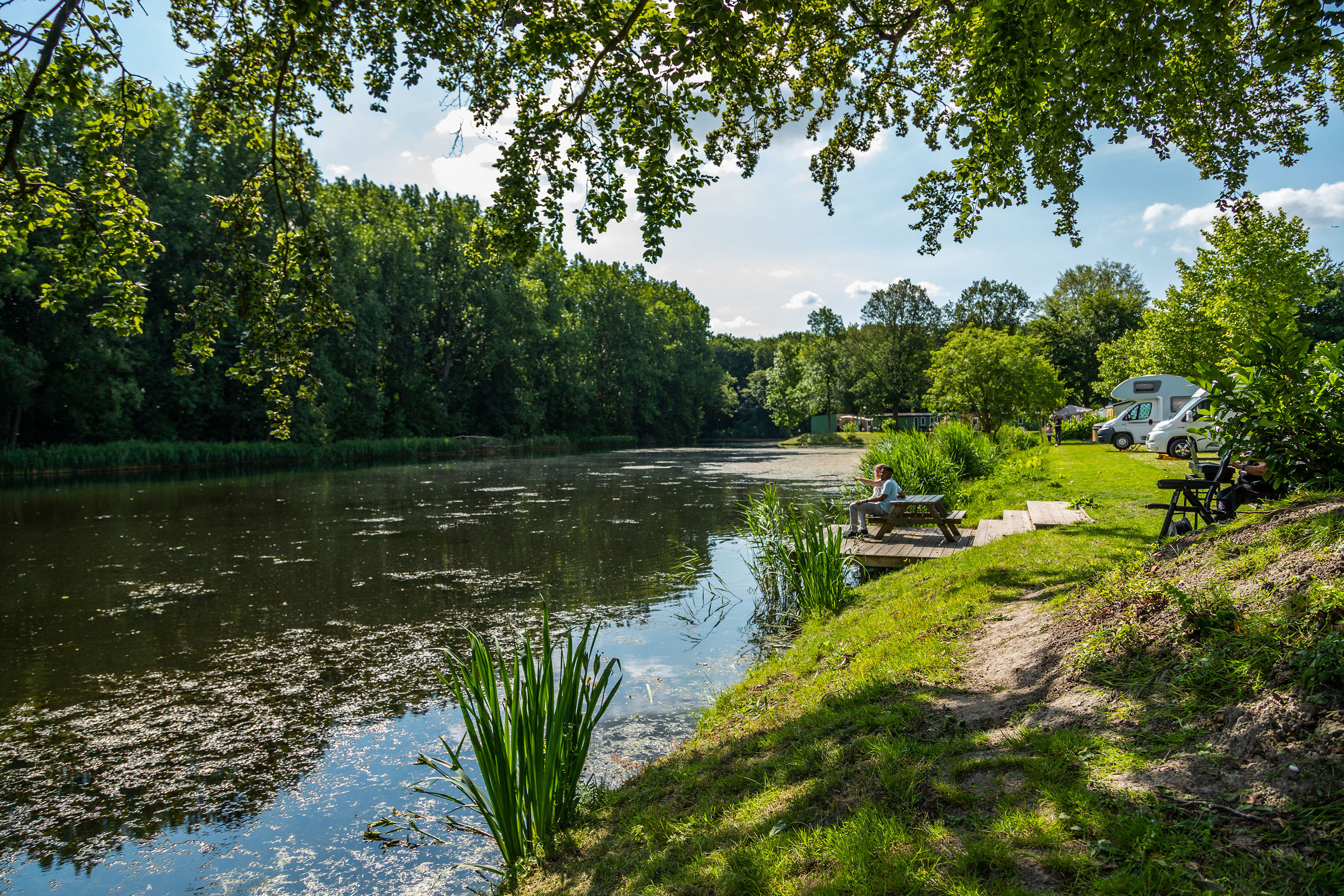 camping EuroParcs Het Amsterdamse Bos