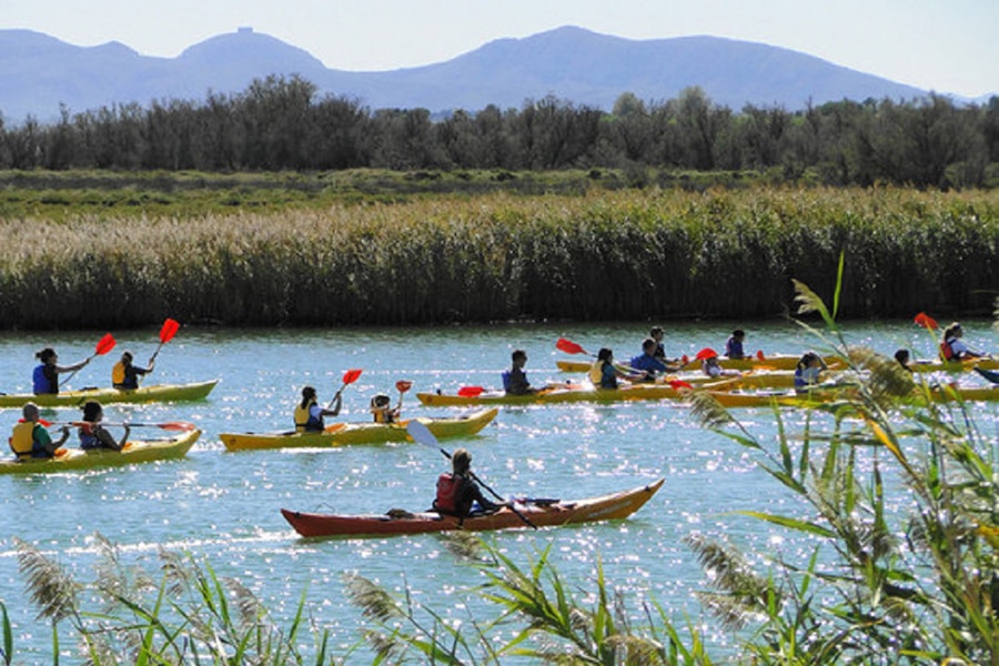 Camping La Gaviota