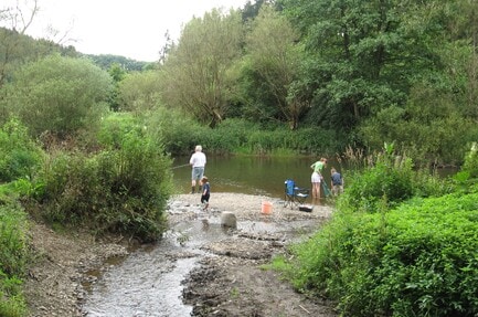 Camping International