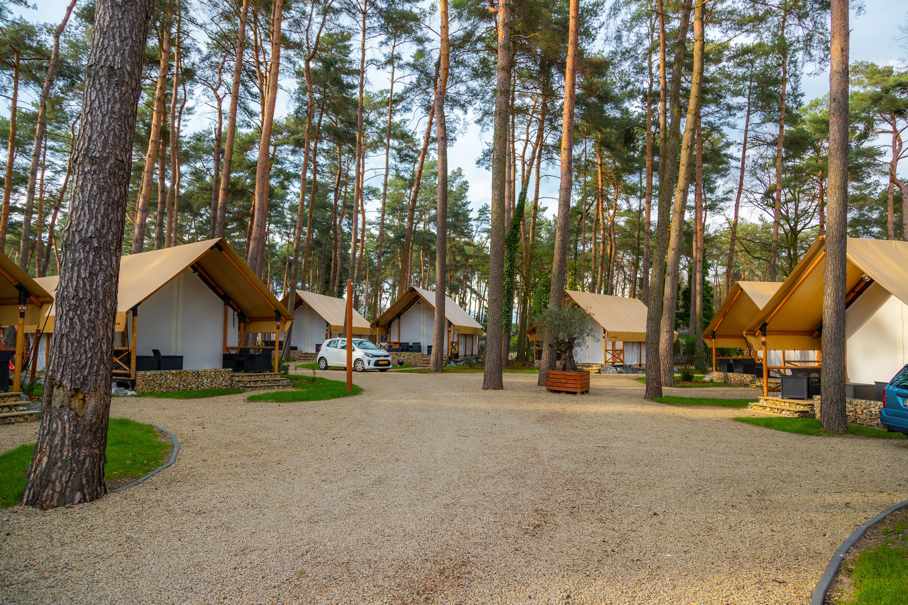 camping EuroParcs Hoge Kempen