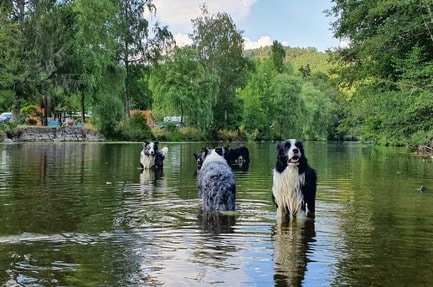 Camping Vallée de l'Our